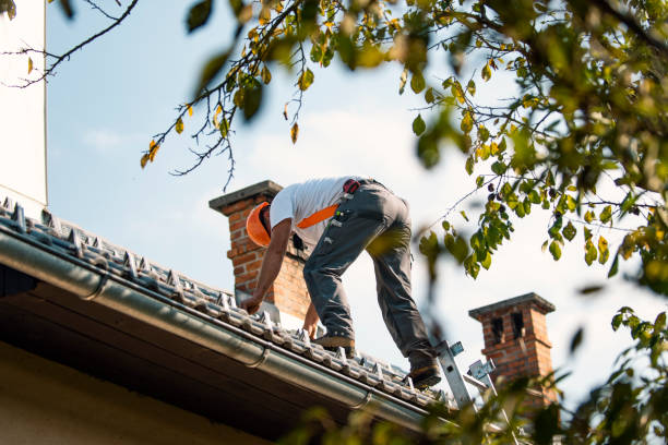 Best Roof Repair Services  in Ball Pond, CT