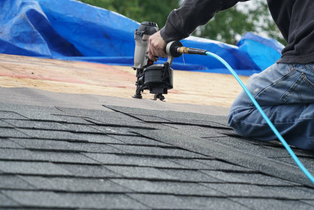 Best Roof Waterproofing Services  in Ball Pond, CT