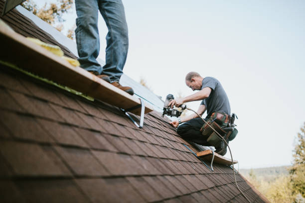 Best Roof Maintenance Services  in Ball Pond, CT